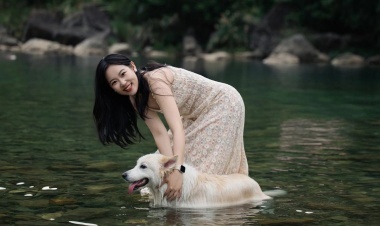 根据您的需求，提供合适您的产品
